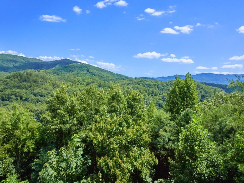 A Majestic View III Villa Townsend Exterior foto